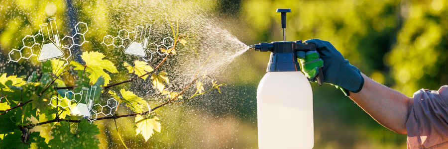 Image of a person spraying plants with pesticides